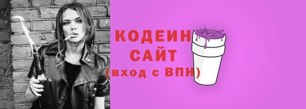 скорость Вяземский