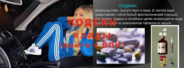 PSILOCYBIN Горняк